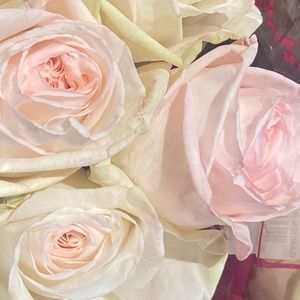 Meet your Posher, Camryn